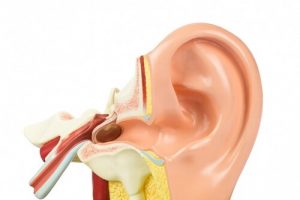 Обследование при невриноме слухового нерва в Израиле